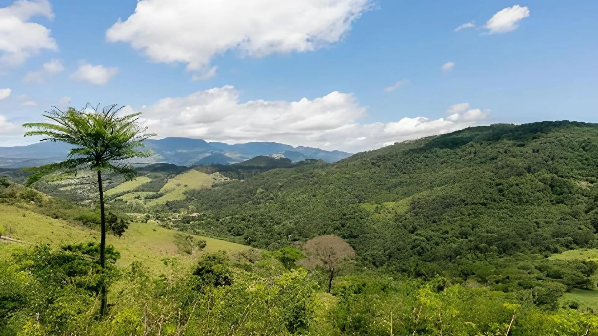 Casa De Pedra, Charme E Conforto Campos do Jordao 0*,  Brazil